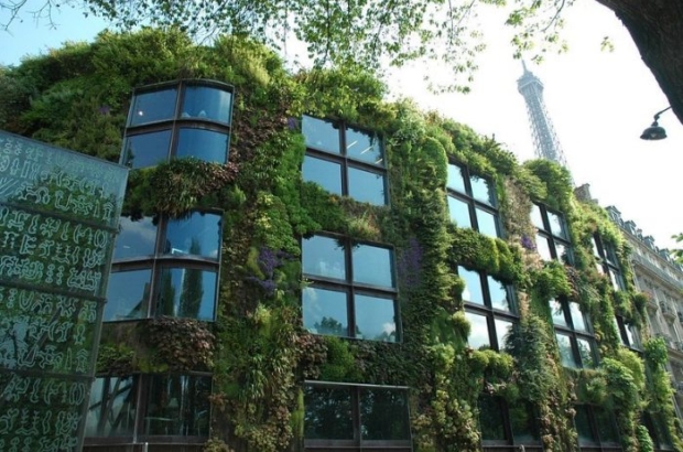 zielona fasada - organiczny beton