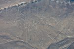 linie, rysunki z Nazca