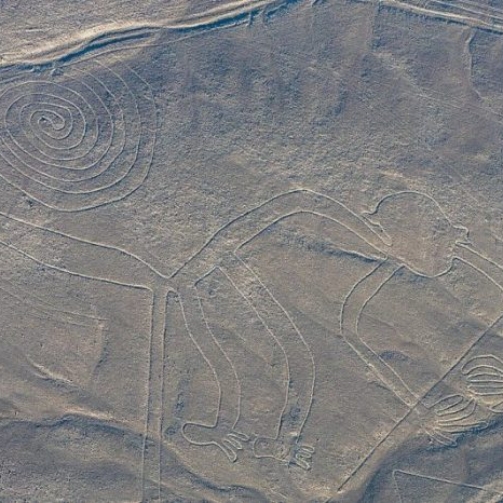linie, rysunki z Nazca