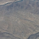 linie, rysunki z Nazca