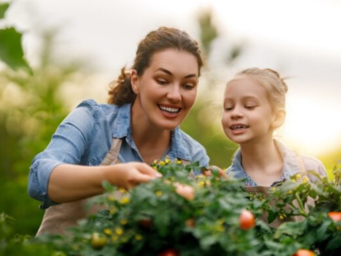 róże do ogrodu małego