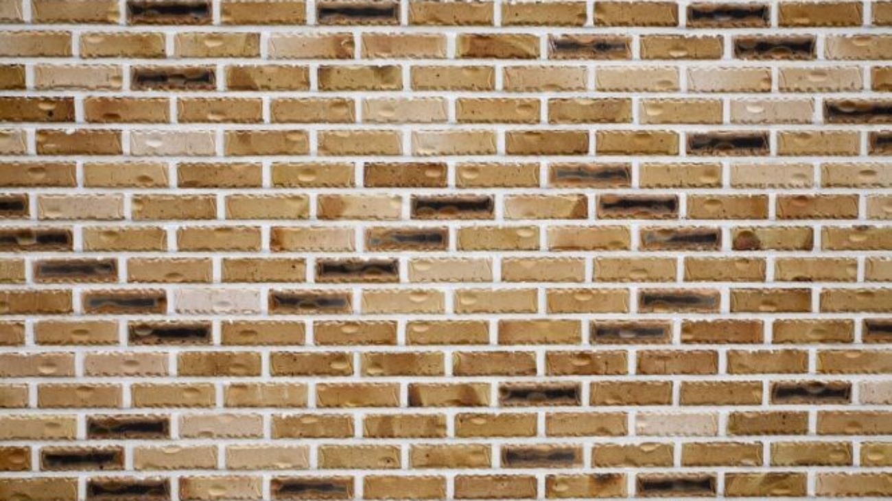 elewacja z cegły klinkierowej