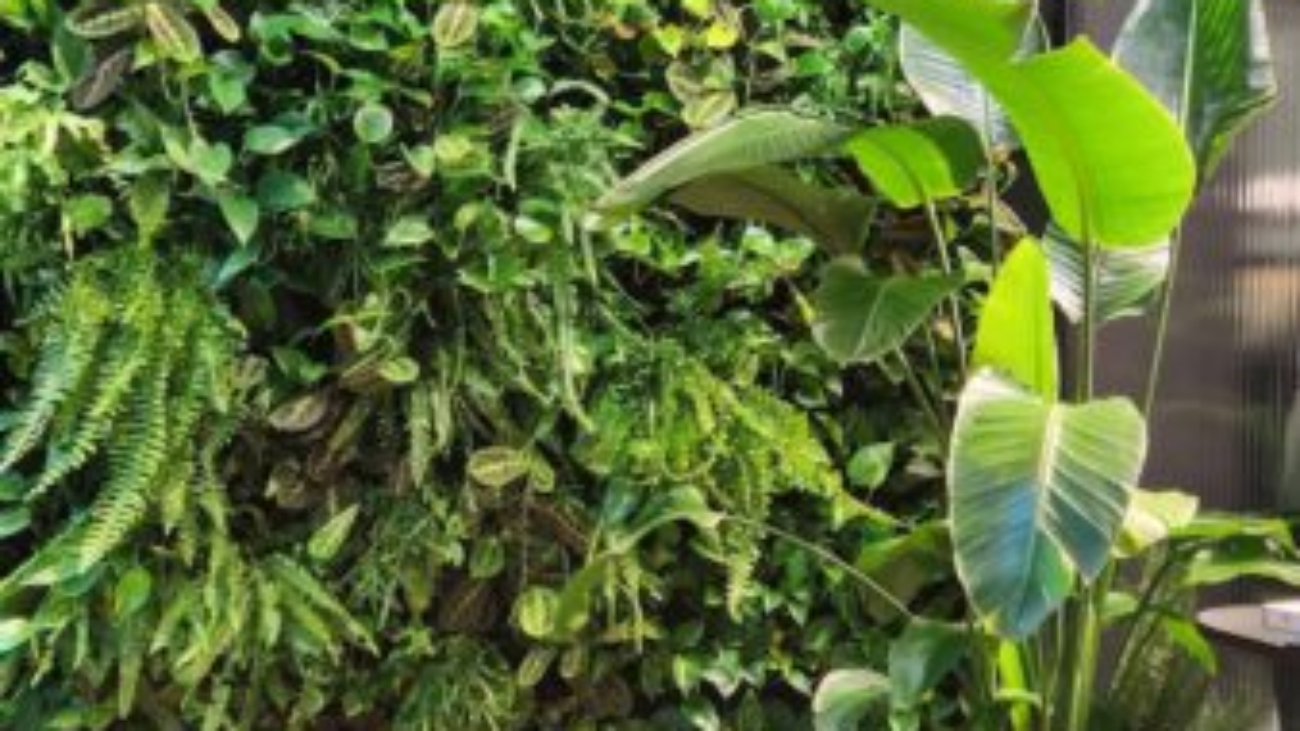 ogród wertykalny w biurze