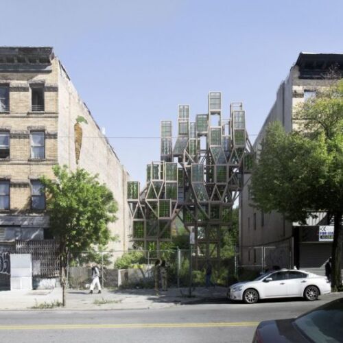 miejska farma, zieleń w mieście